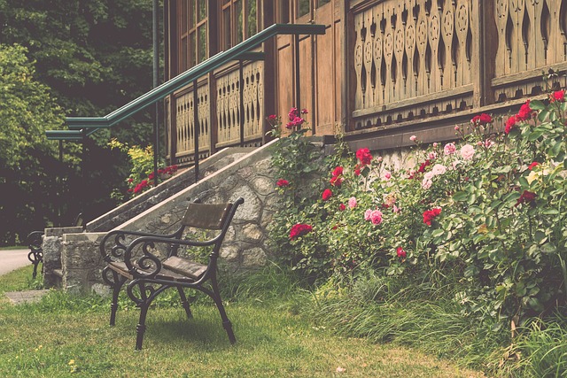 队凝聚力 队凝聚力