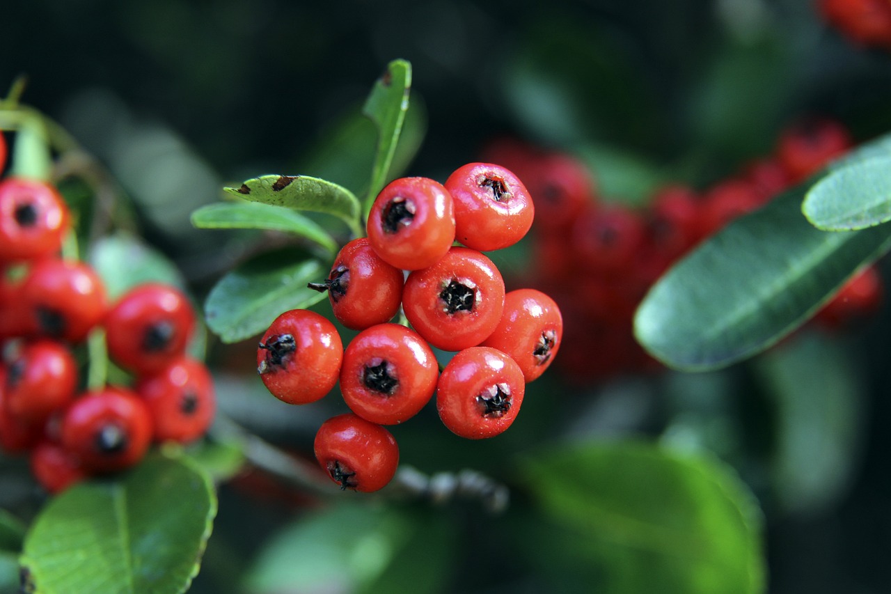 来化解危机 来化解危机