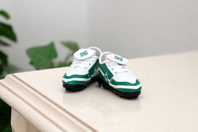 成為克羅地 成為克羅地