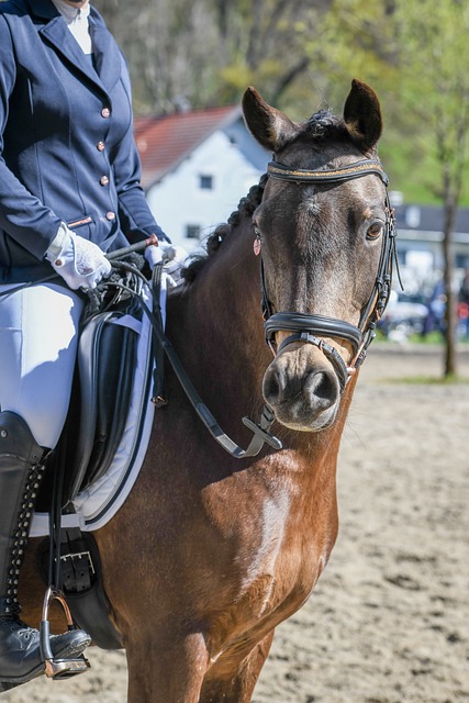 纪录是用来被打破的，但詹姆斯41的纪录很难被打破.
