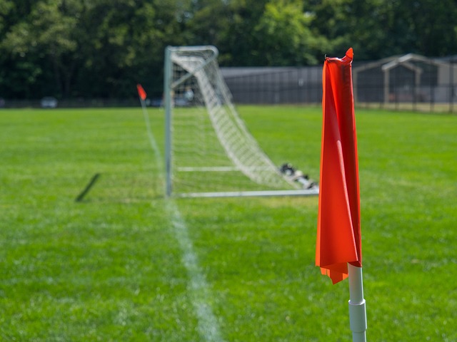 她们将在接 她们将在接