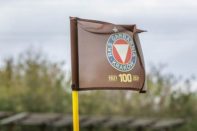 广西规模最大的航空体育活动亮相大明山滑翔伞基地举办.