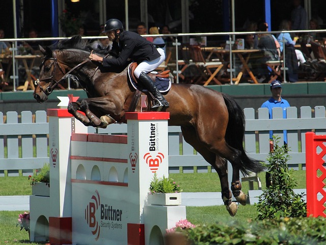 许多人认为 许多人认为