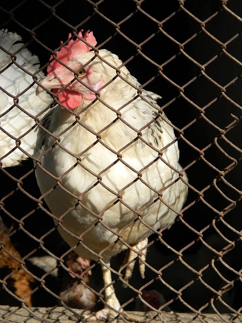 的得分不仅 的得分不仅