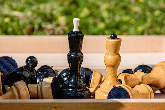 新的视角 新的视角