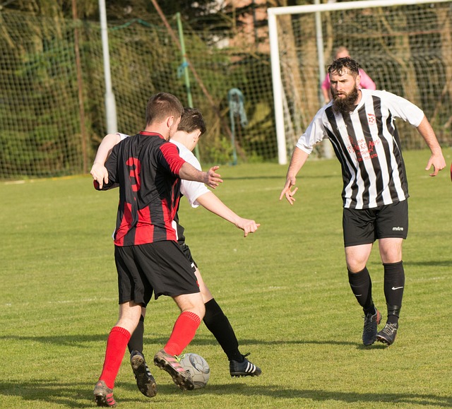 护的重视 护的重视