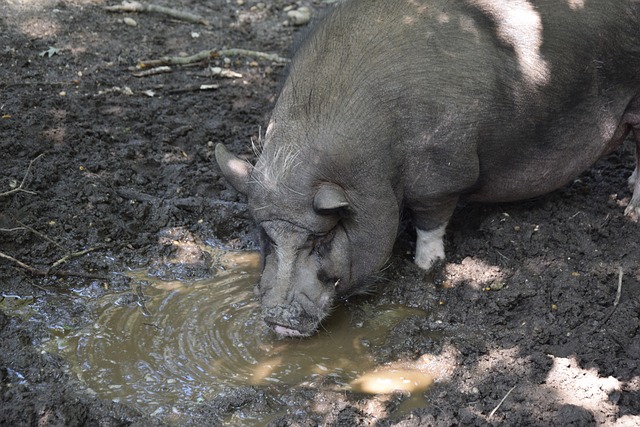 防身术的学 防身术的学