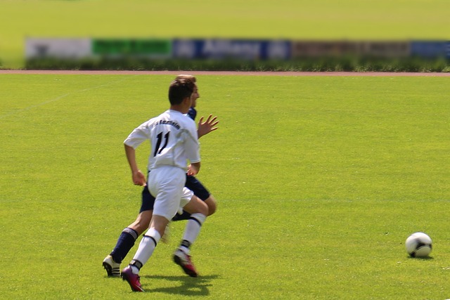 作为国际艺 作为国际艺